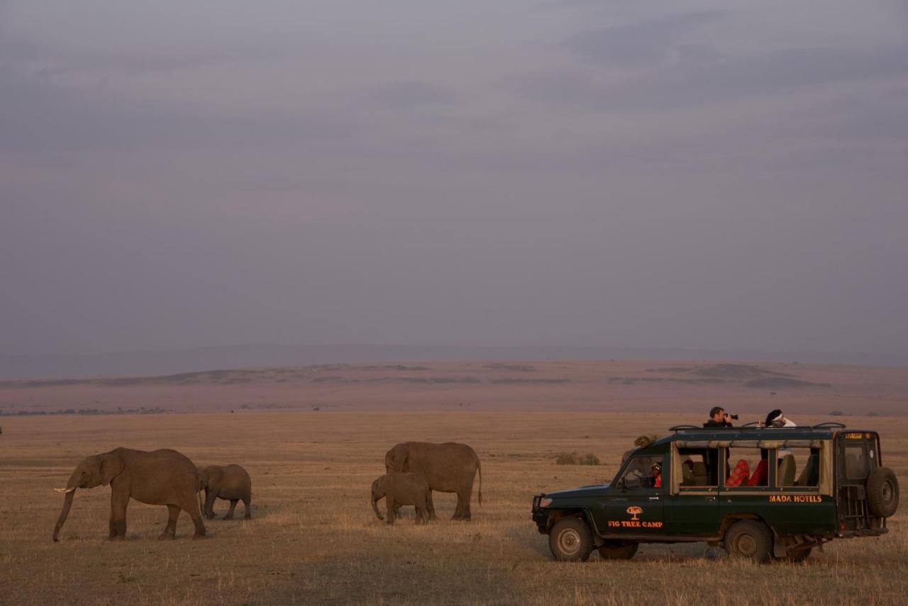 Hotel Fig Tree Camp - Maasai Mara à Talek Extérieur photo