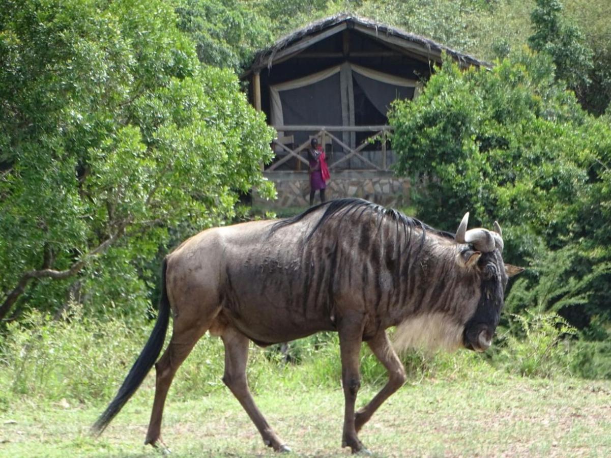 Hotel Fig Tree Camp - Maasai Mara à Talek Extérieur photo