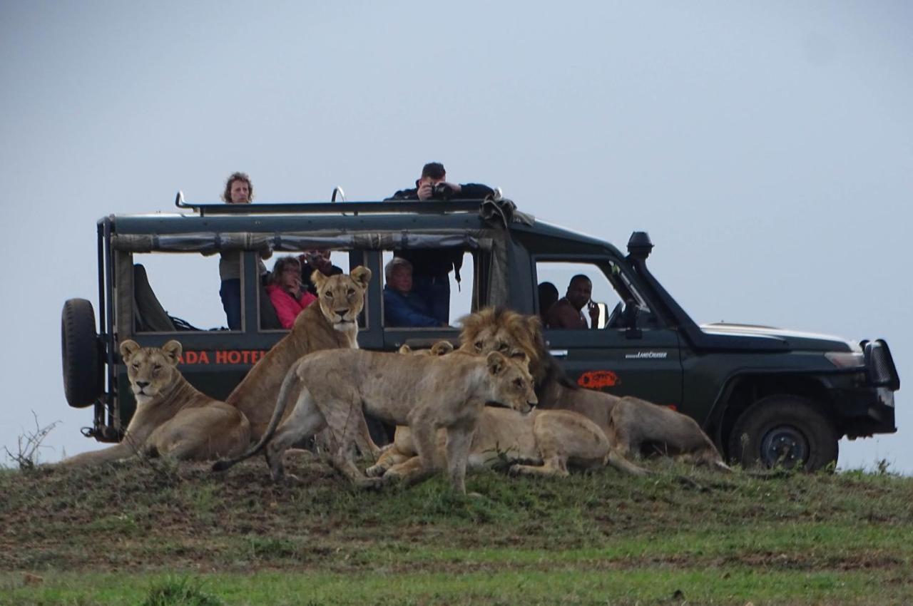 Hotel Fig Tree Camp - Maasai Mara à Talek Extérieur photo