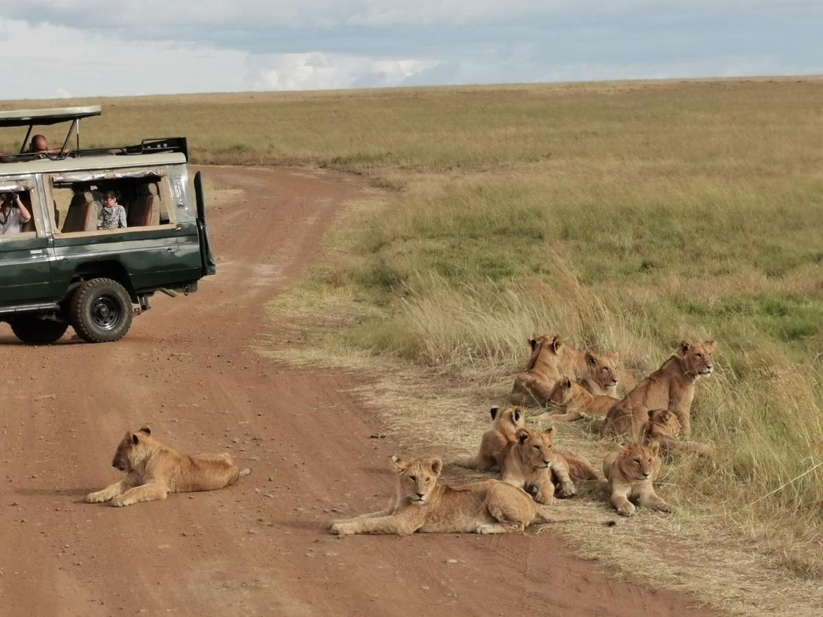 Hotel Fig Tree Camp - Maasai Mara à Talek Extérieur photo