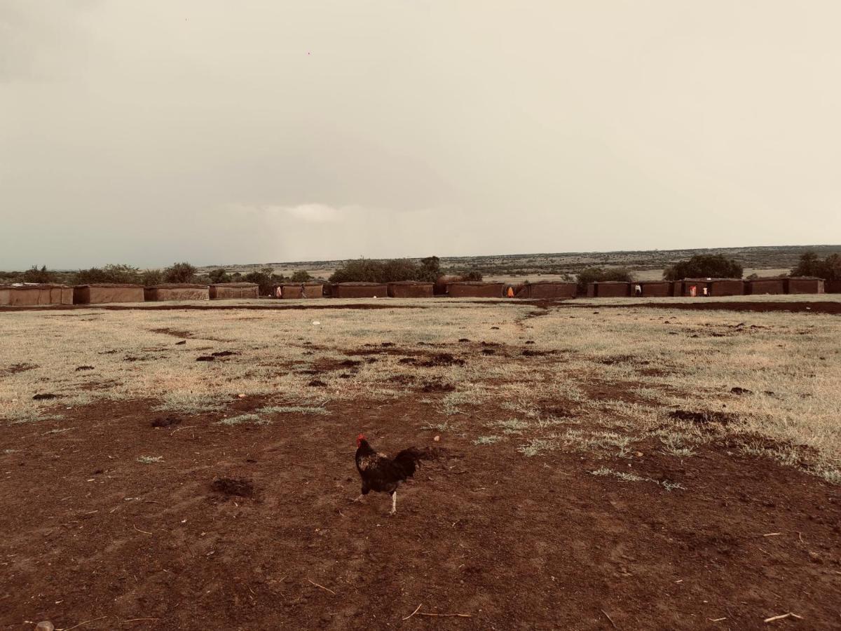 Hotel Fig Tree Camp - Maasai Mara à Talek Extérieur photo